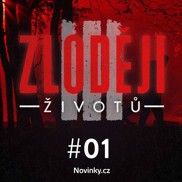 Zloději životů
